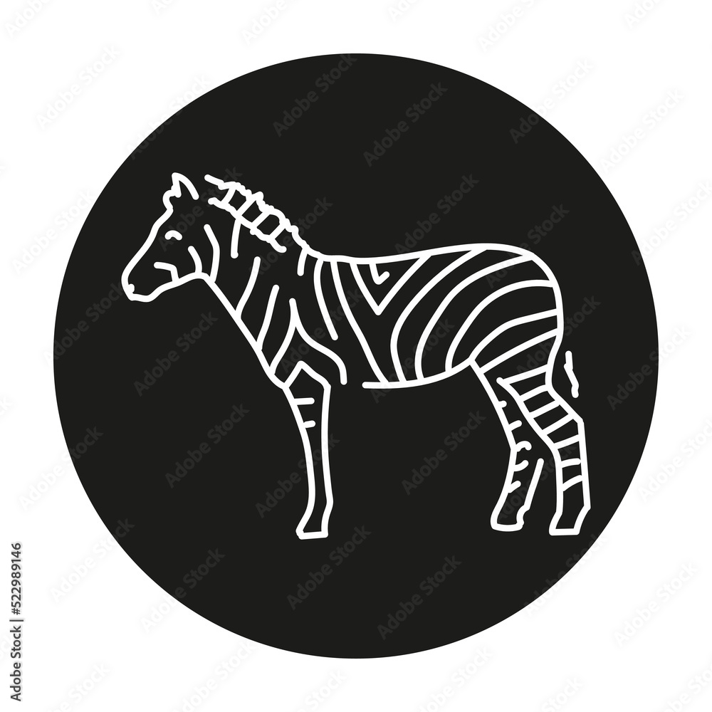 Fototapeta premium Zebra color line illustration