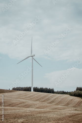 éolienne sur un champs