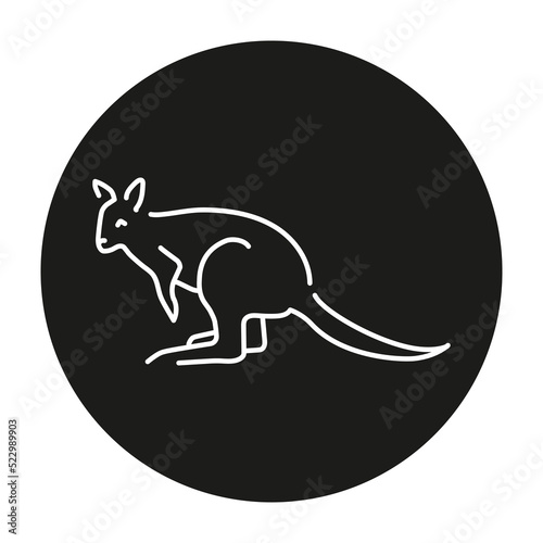 Wallabies color line illustration. Animals of Australia