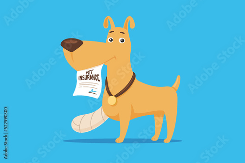 Injured dog holding pet insurance contract in mouth vector cartoon flat illustration