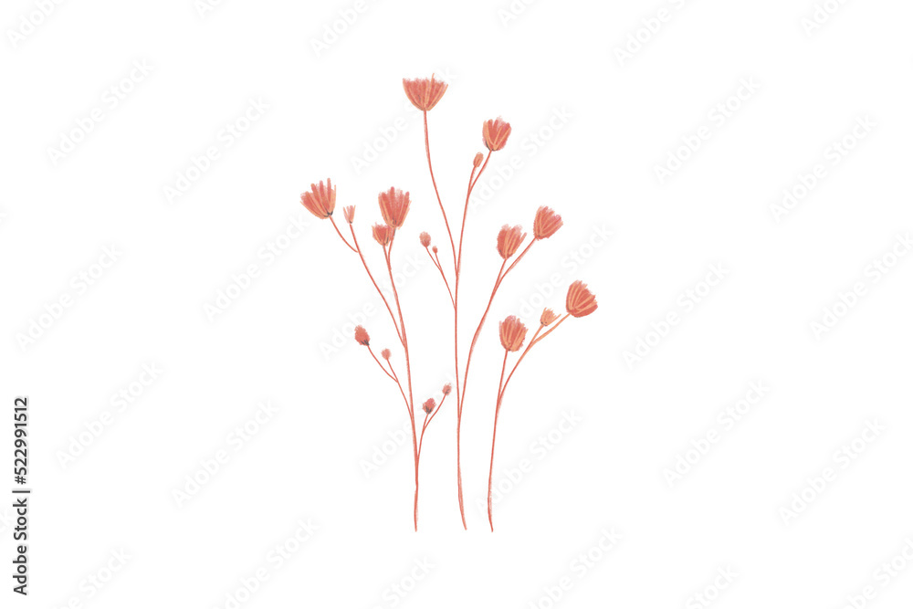 Painted Watercolor Flower isolated on white background, soft colorful style for using to artwork