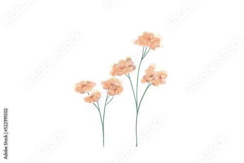 Painted Watercolor Flower i...