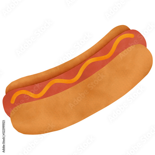 Hot dog watercolor illustration