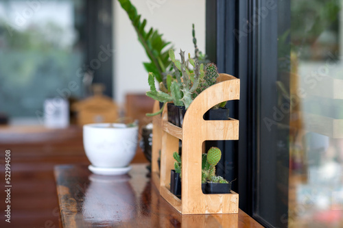 Potted flowers, home decor ideas
