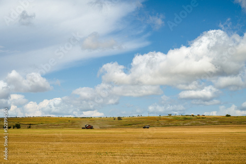 Rural landscape. Combine harvester working in the field. Agriculture. Countryside.