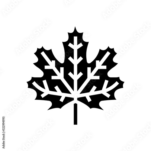 maple leaf glyph icon vector. maple leaf sign. isolated symbol illustration