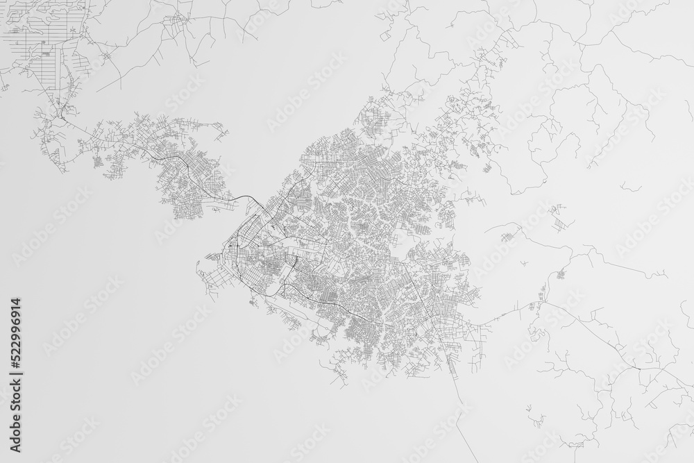 Map of the streets of Douala (Cameroon) on white background. 3d render, illustration