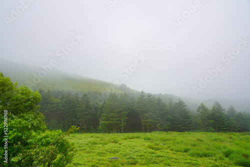 霧ヶ峰 高原を覆う霧 