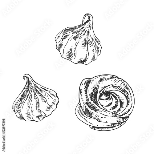 hand drawn vector french meringue protein illustration