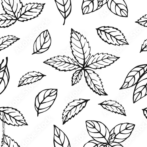 Seamless pattern with herbs. Hand drawn vector illustration in sketch style.