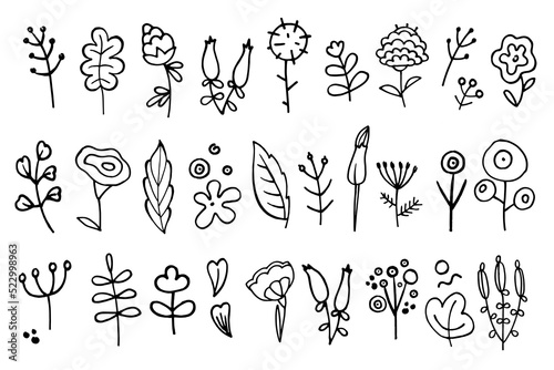 Doodle Flower Set. Vector doodle grass branch  berry  inflorescence  black and white drawing  sketch.