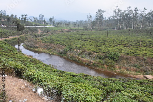 river in Plantation photo