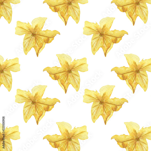 Cucumber orange flower patternwatercolor illustration isolated on white background. photo