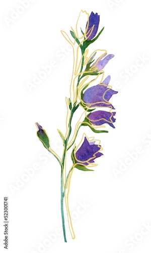 blue iris flower © MariiaMart