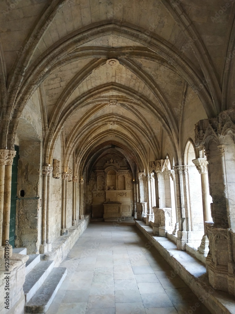Le cloître Saint-Trophime de l’ancienne cathédrale d’Arles, France