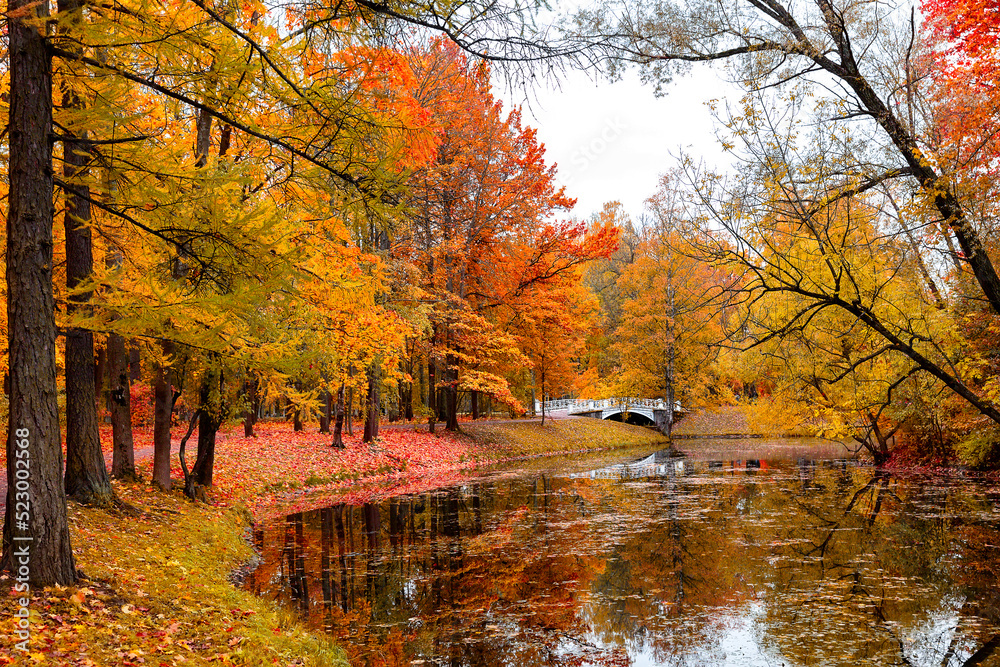 Autumn landscape, beautiful city park with fallen yellow leaves.