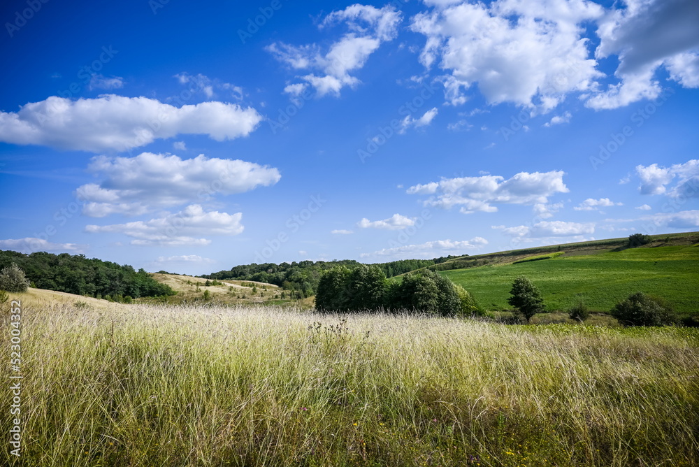 Green Grass Field Landscape with fantastic clouds in the backgro Green Grass Field Landscape with fantastic clouds in the backgro