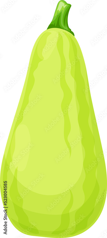 Whole zucchini courgette isolated cartoon veggie Whole zucchini courgette isolated cartoon veggie