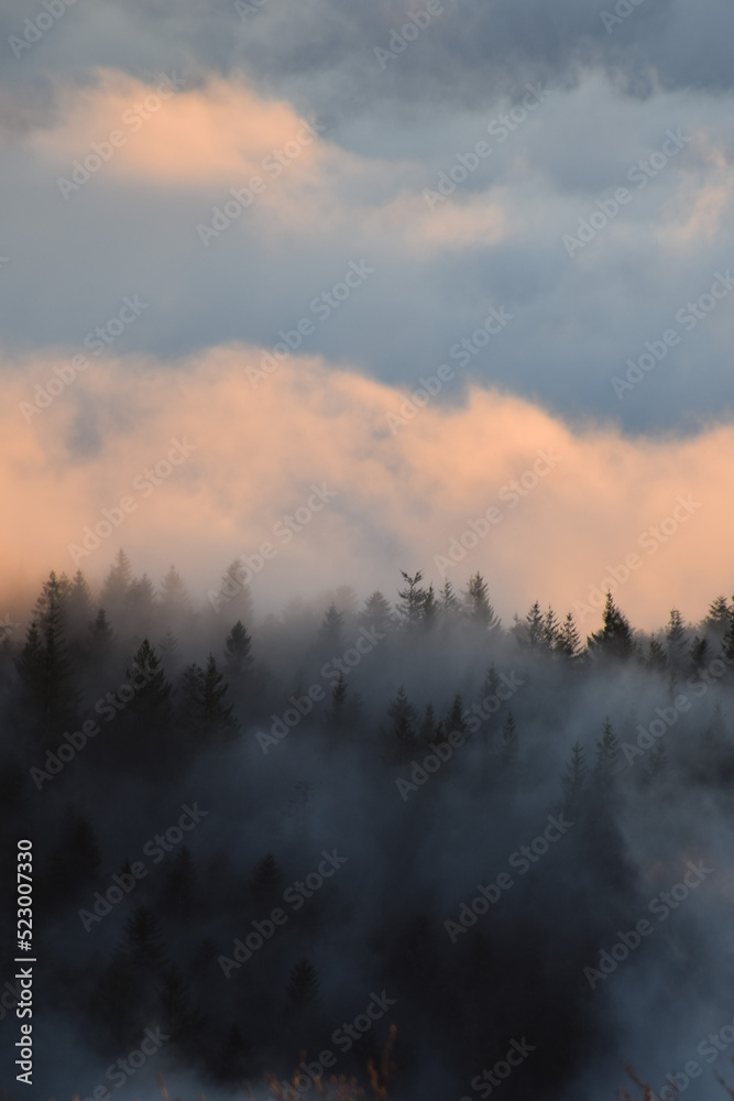 Obraz premium Mare di nebbia