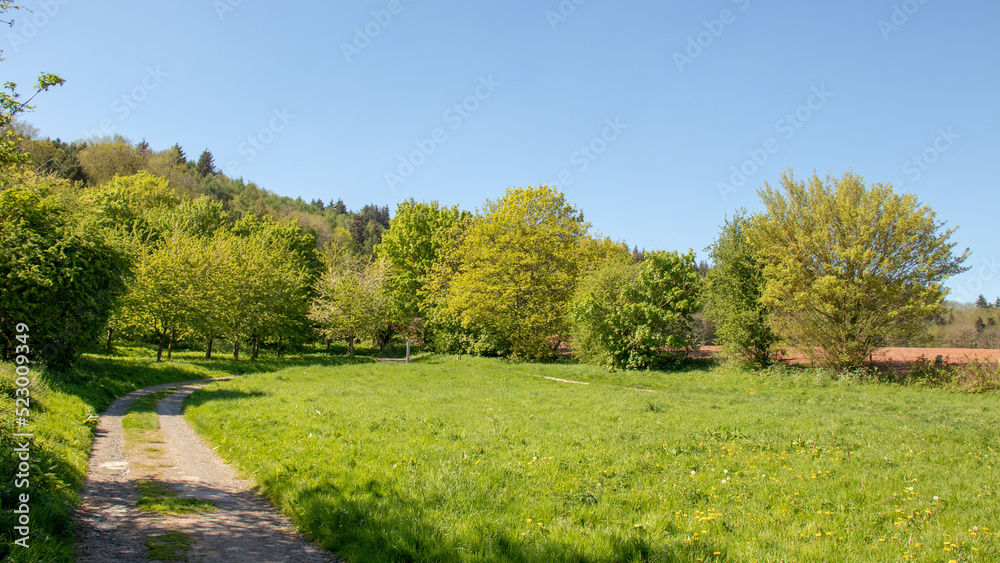 Summertime scenery in the UK.