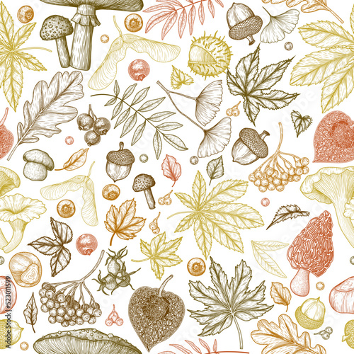 Seamless vector pattern autumn in engraving style. Oak leaf, acorns, berries, maple leaves, ginkgo, mushrooms, stump, chestnut, physalis, wild rose, mountain ash