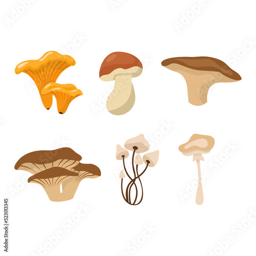 Cartoon mushrooms. Poisonous and edible mushroom, chanterelle, cep, amanita isolated vector illustration set. Forest wild mushrooms types. Organic porcini and chanterelle, poisonous fungus concept