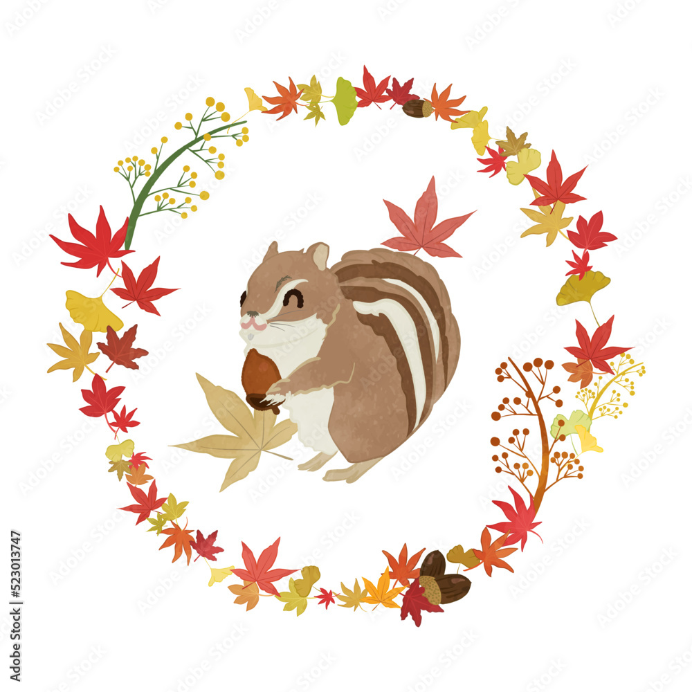 Cute squirrel surrounded by autumn frame