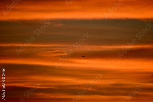 Illusion of waves at sunset in the sky with a silhouette of a flying bird, summer, West Midlands, England, UK