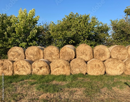 round hay bales are stacked in two layers in front of bushes 