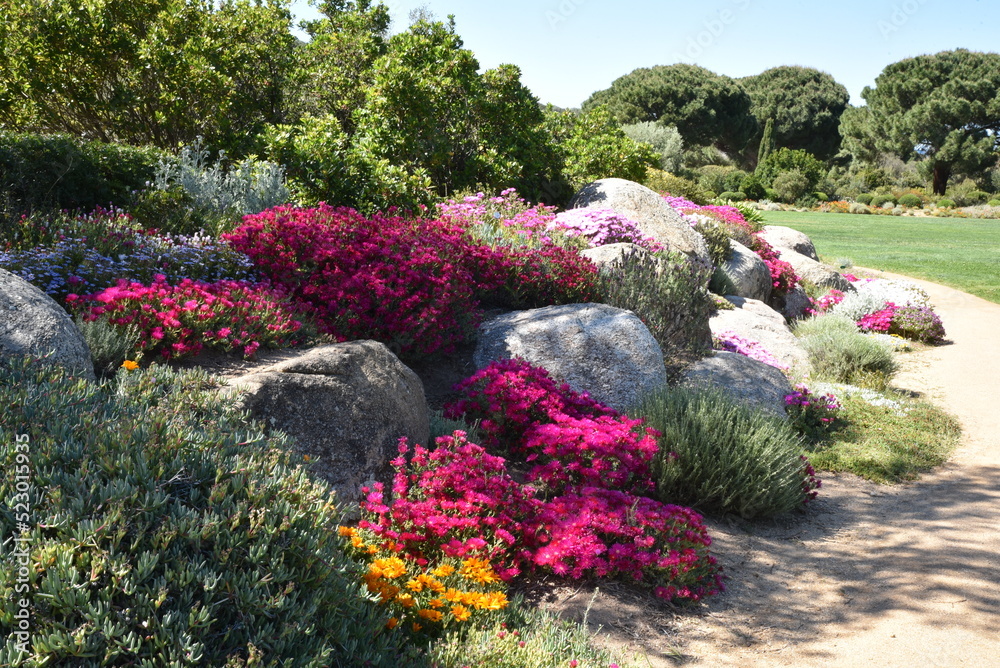 Fototapeta premium Jardin méditerranéen au printemps