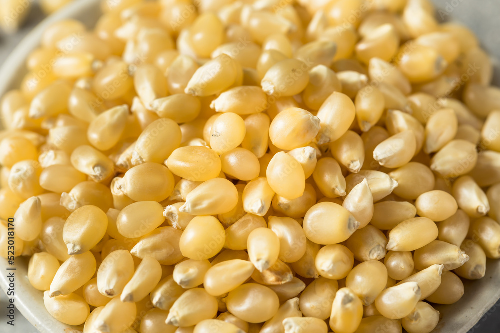 Dry Organic White Popcorn Kernels Dry Organic White Popcorn Kernels