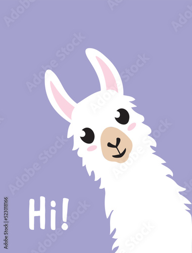 cute alpaca or llama.  toy. poster. animal. wildlife. vector illustration. baby picture. art. design