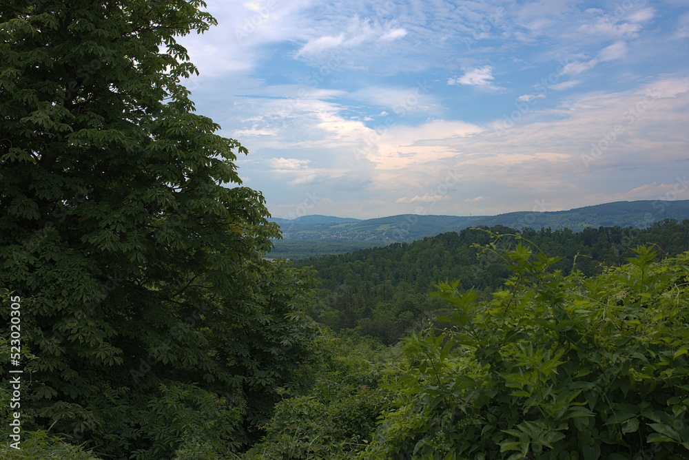 Austrian forests skyline