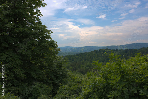 Obraz na płótnie Austrian forests skyline w salonie