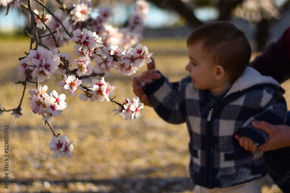 Visitando los almendros en flor en familia mamá, papá e hijo Visitando los almendros en flor en familia mamá, papá e hijo