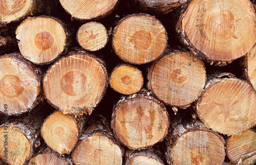 stack of wood stack of wood