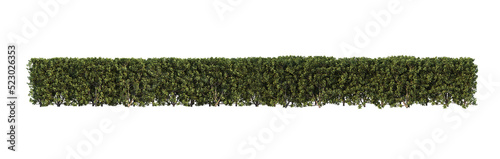 Shrubs and plants on a transparent background
