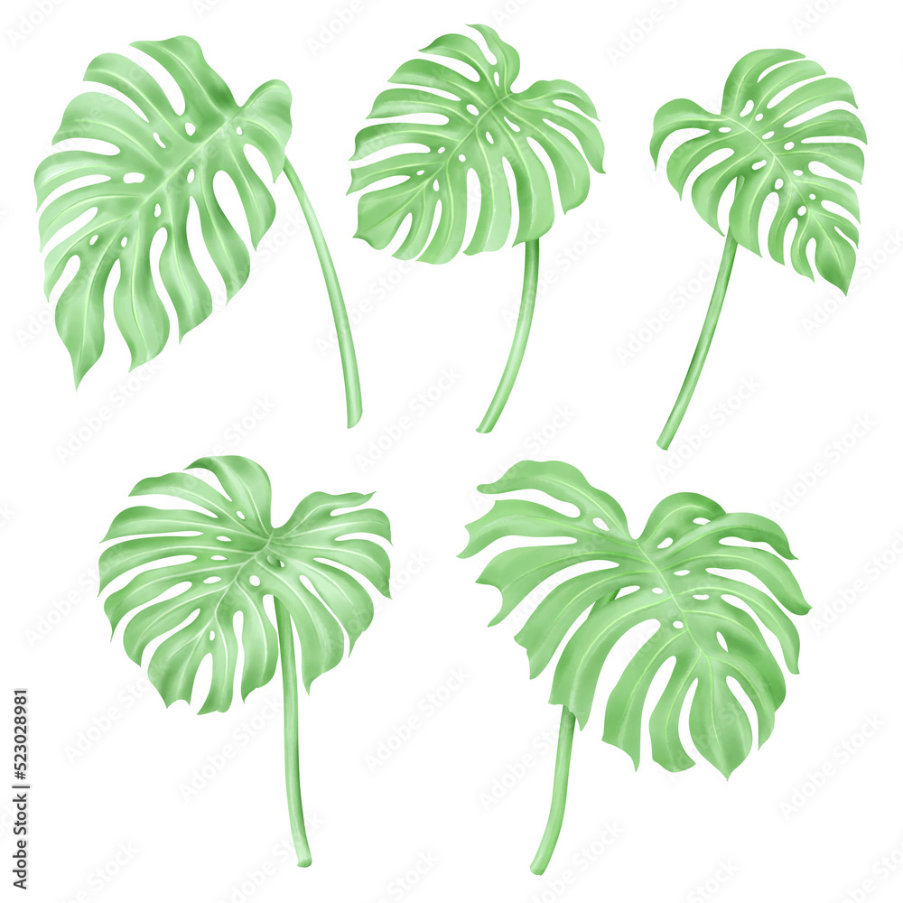 Obraz premium Set of monster watercolor leaves and branches lovely design elements to create your own layouts, honors and elements.png