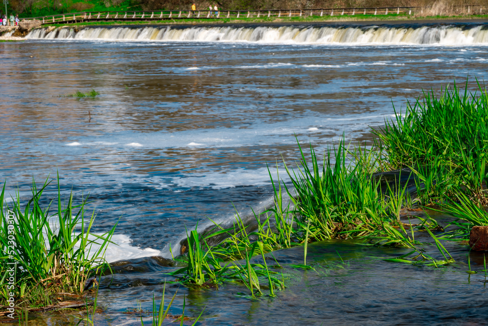 Beautiful landscape with Ventas Rumba waterfall on which fish jump in Kuldiga, Latvia. The widest waterfall in Europe.