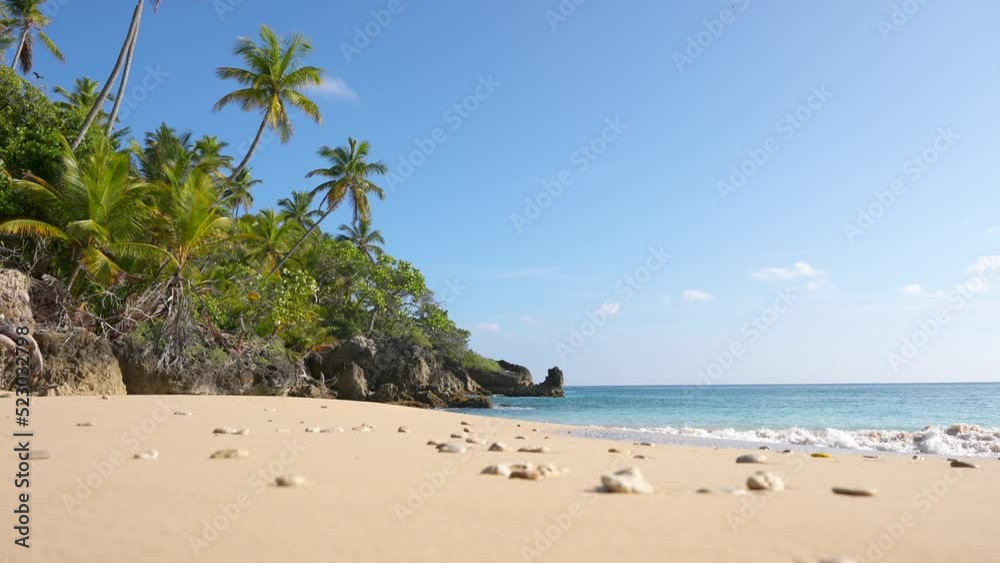 Close-up shot of the sand with shells of Playa Preciosa beach, Dominican Republic. Paradise seascape Close-up shot of the sand with shells of Playa Preciosa beach, Dominican Republic. Paradise seascape