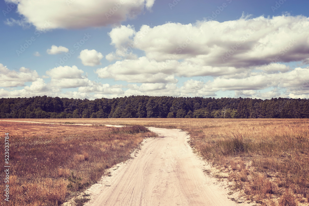 Sandy dirt road, color toning applied. Sandy dirt road, color toning applied.