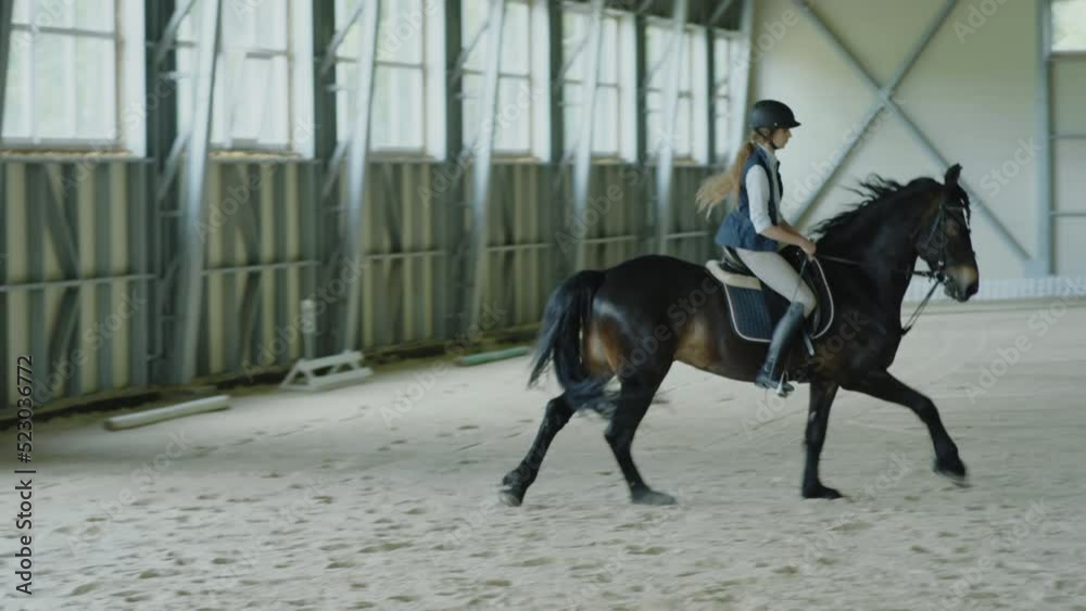 Professional female rider in helmet riding horse while practicing in riding hall Professional female rider in helmet riding horse while practicing in riding hall