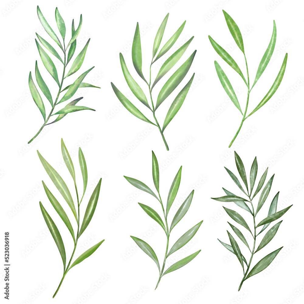 Naklejka premium Watercolor olive branches. design elements to create your own layouts, honors and elements.png