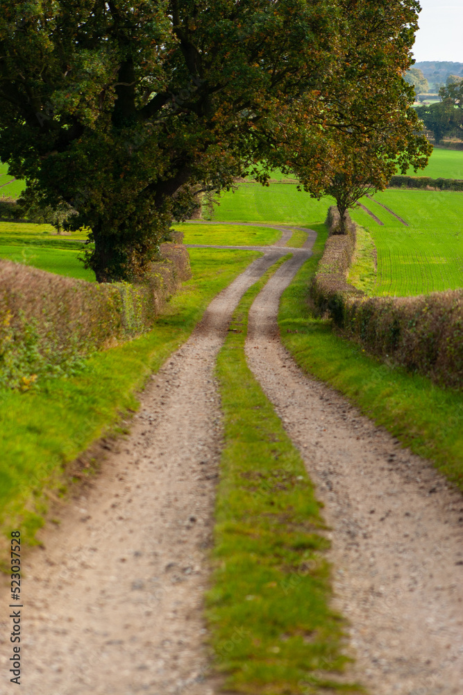 path in the park