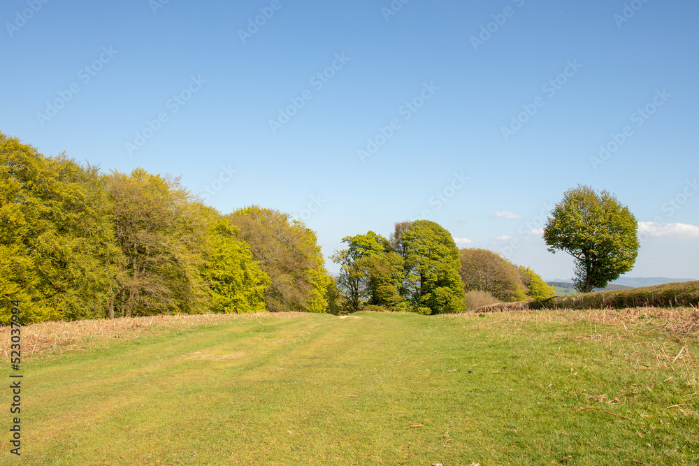 Fototapeta premium Hergest ridge in the UK.