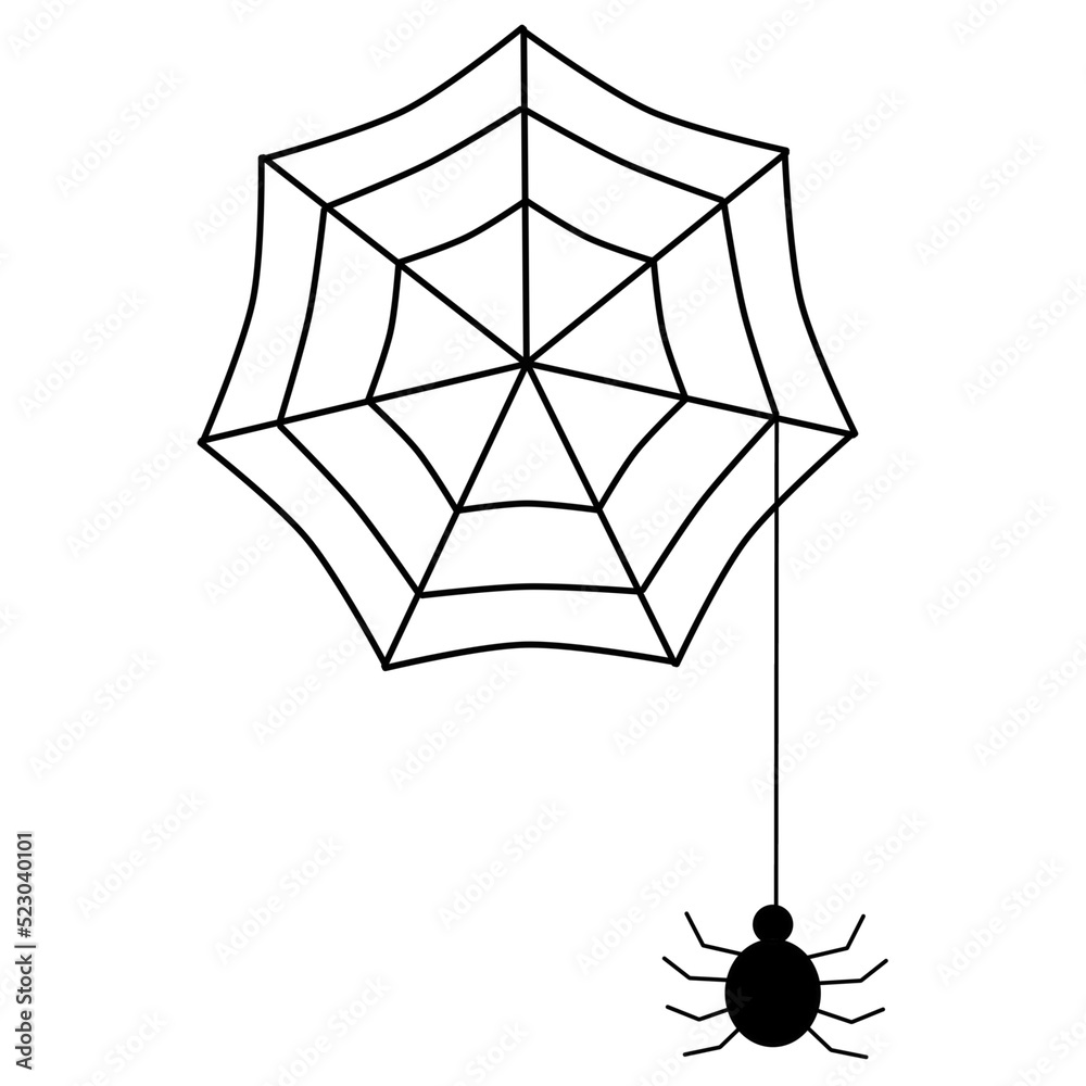 Fototapeta premium spider and web