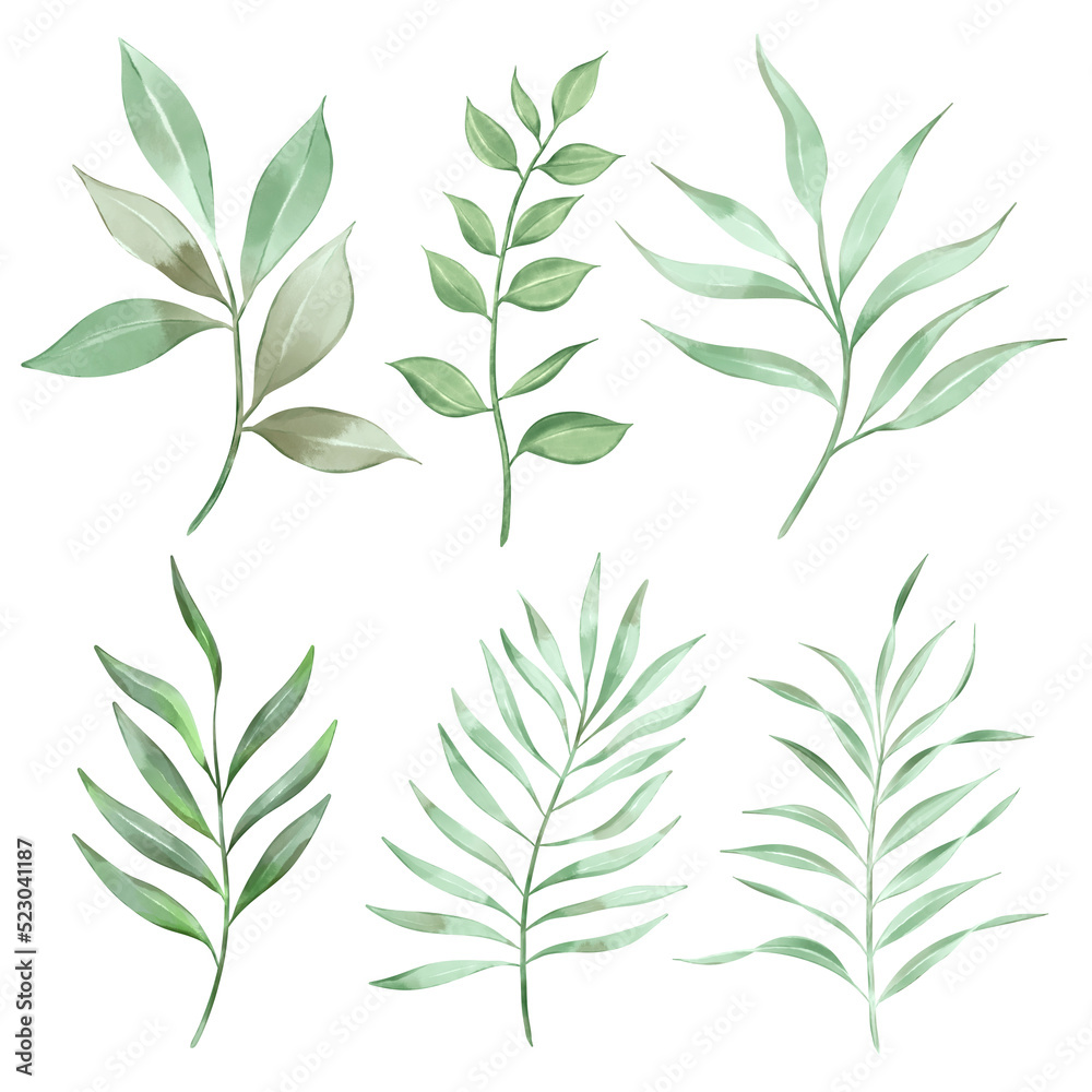 Naklejka premium Watercolor green leaves collection. Set of lovely watercolor leaves and branches. Botanical Png illustration.