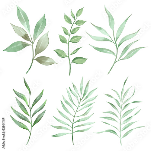 Watercolor green leaves collection. Set of lovely watercolor leaves and branches. Botanical Png illustration.
