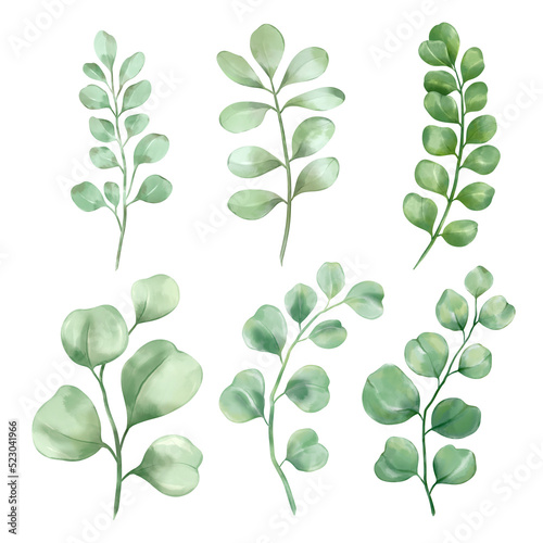 four leaf clover Watercolor collection of plant elements for design.png illustrations 