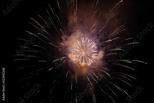 Beautiful firework exploding at night